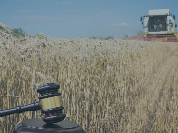 Pflichtteil und landwirtschaftliches Erbe – Was gilt, wenn ein Hof vererbt wird?